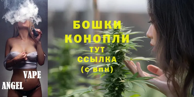 продажа наркотиков  Нахабино  Шишки марихуана Bruce Banner 